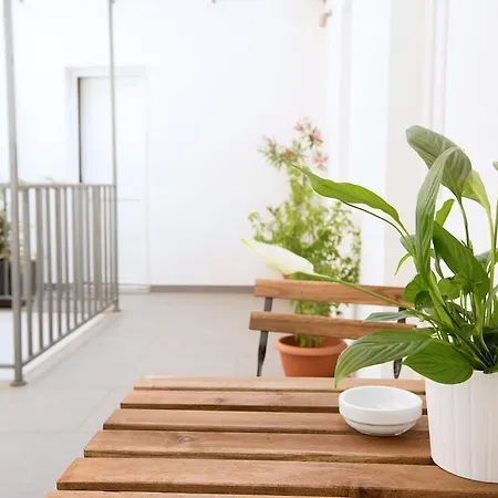 Maison d'hôtes Funtanir Bologne