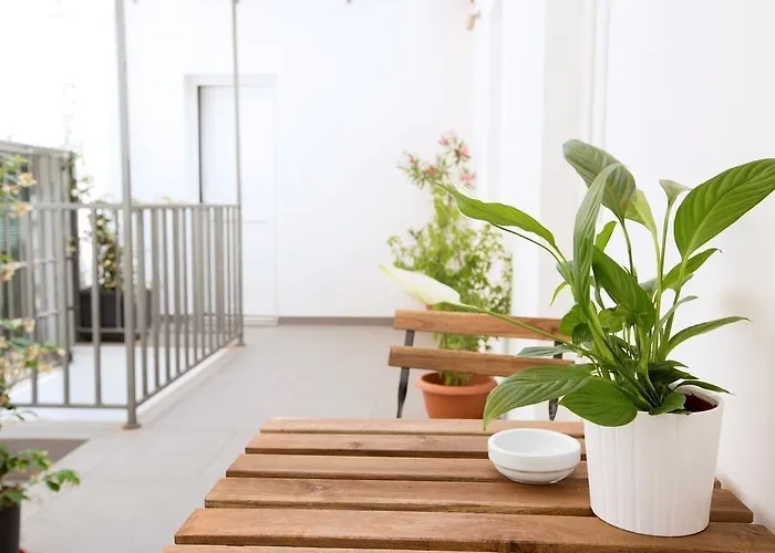 Maison d'hôtes Funtanir Bologne